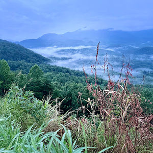 Meet your Posher, Maggie